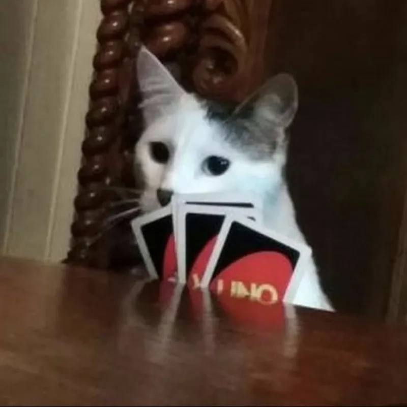 Bruno fernandes meme mang lại tiếng cười cho những ai yêu thích bóng đá