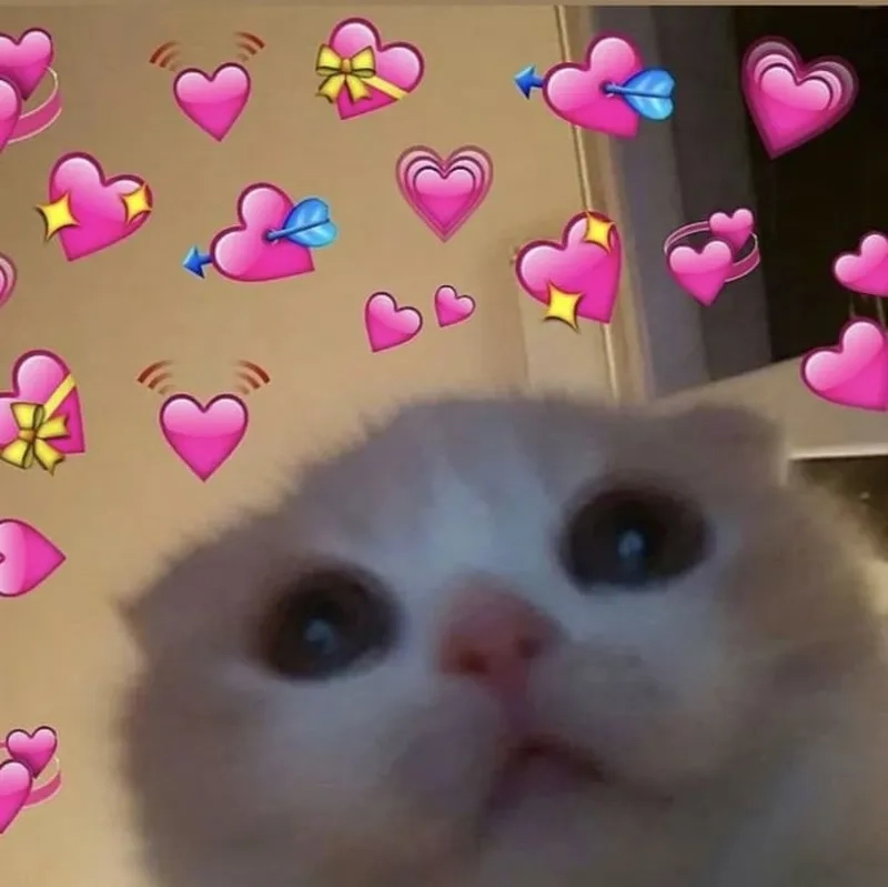 Heart meme trái tim mang lại sự dễ thương cho người xem