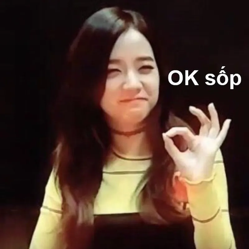 Jisoo meme blackpink mang lại tiếng cười cho những ai yêu thích hài hước