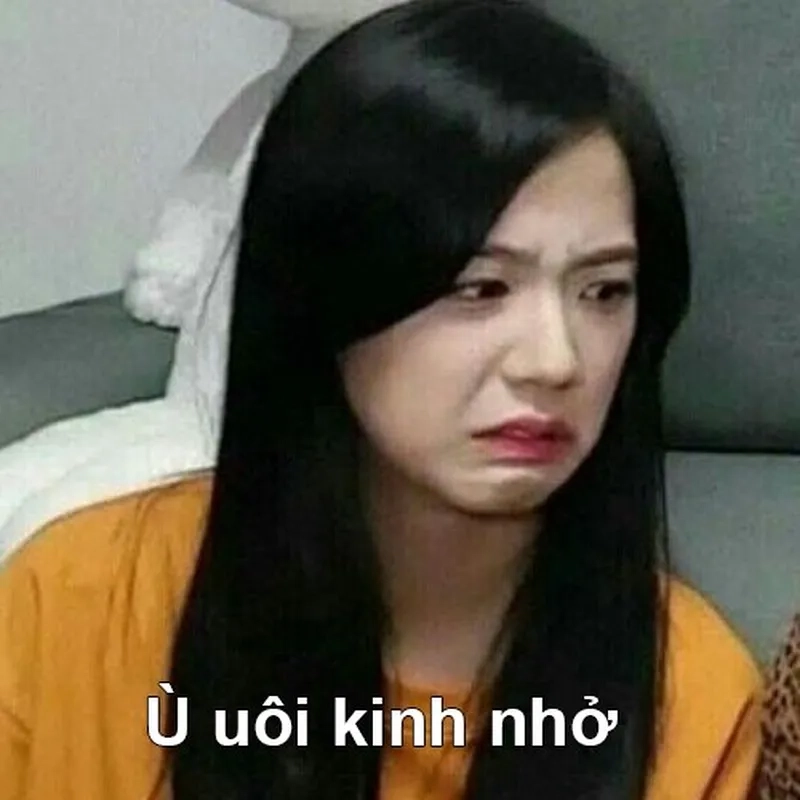 Meme blackpink khiến bạn không thể không yêu thích sự đáng yêu