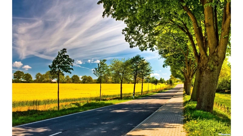 Ảnh nền thiên nhiên đẹp 4k sẽ mang lại sự tươi mới cho bạn