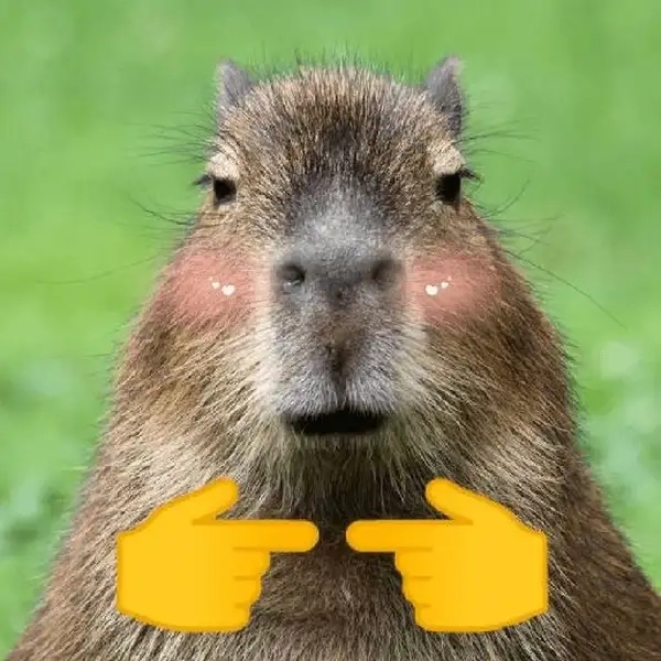Capybara meme drawing mang lại những khoảnh khắc sáng tạo không thể quên