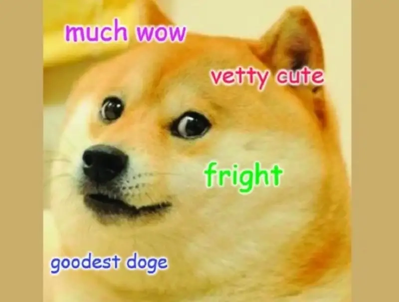 Hình ảnh meme cheems meme mang đến những khoảnh khắc thú vị