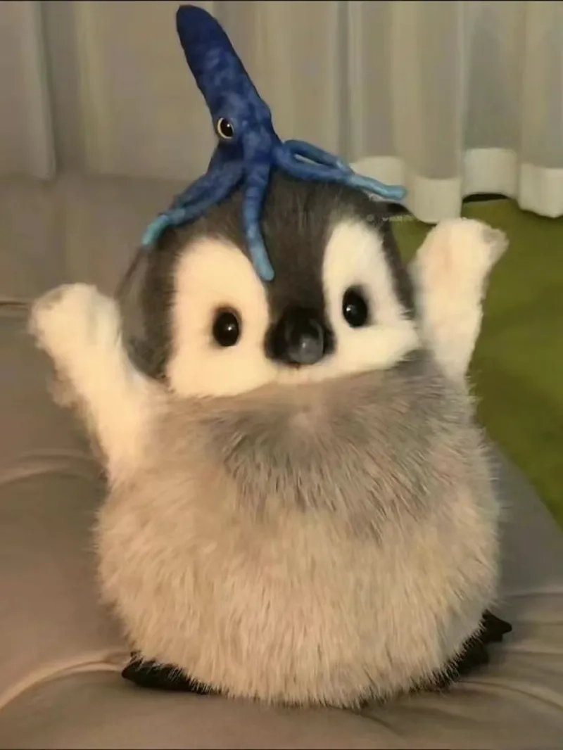 Meme cánh cụt ngộ nghĩnh khiến bạn không thể không yêu thích