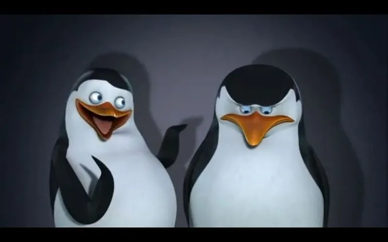 Meme cánh cụt đáng yêu mang lại tiếng cười cho những ai yêu thích hài hước