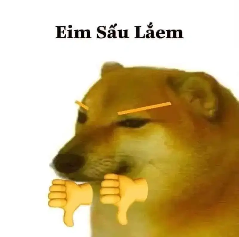 Con chó shiba meme đáng yêu khiến ai cũng phải yêu thích
