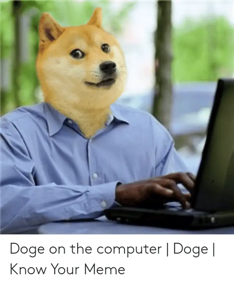 Hình chó shiba meme dễ thương khiến mọi người cảm thấy vui vẻ