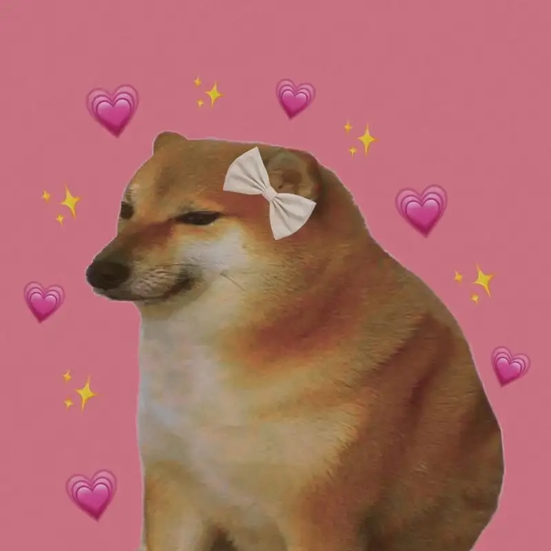 Meme shiba bonk hài hước khiến bạn không thể nhịn cười