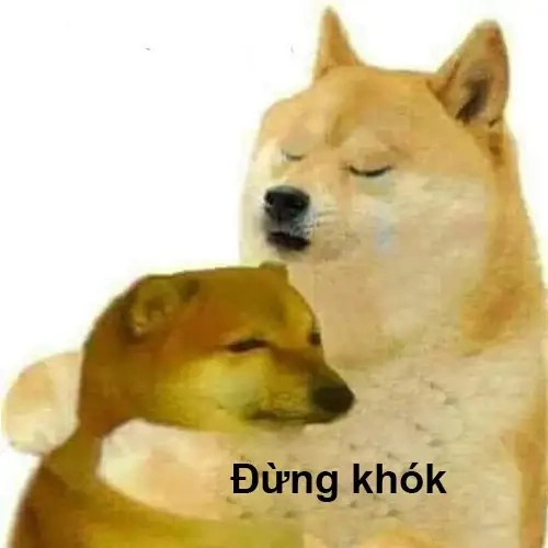 Shiba inu meme coin mang đến những khoảnh khắc thú vị