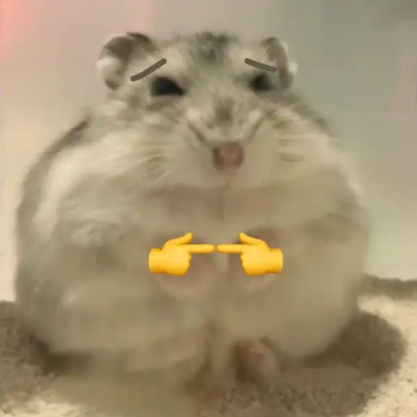 Hình hamster meme mang lại tiếng cười cho những ai yêu thích hài hước