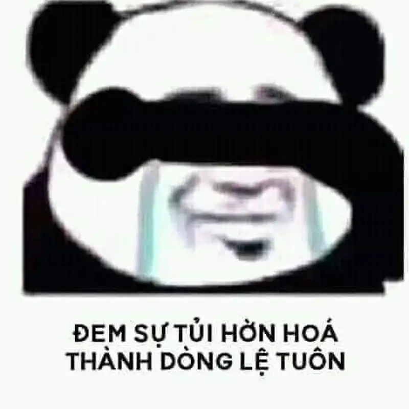 Meme mèo khóc khiến bạn không thể không yêu thích