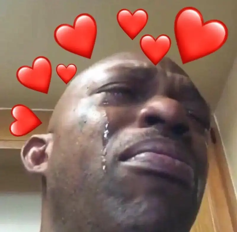 Meme mèo khóc khi cầm điện thoại thật hài hước