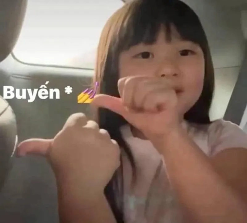 Đánh lộn meme mèo đánh nhau khiến bạn không thể nhịn cười