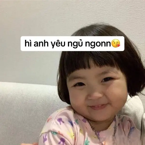 Meme ngủ quên thật hài hước và dễ thương
