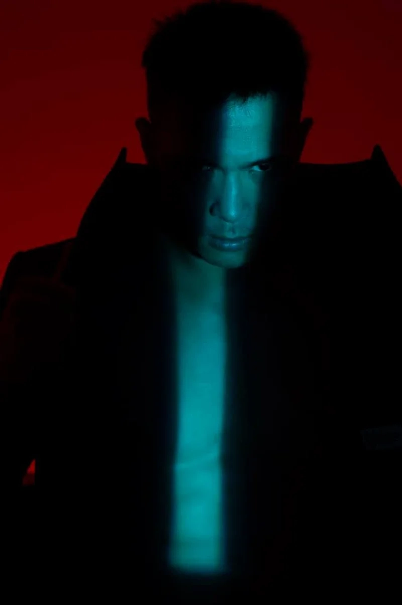 Cánh hoa vụt mất trương thế vinh là một bài hát đầy tâm trạng