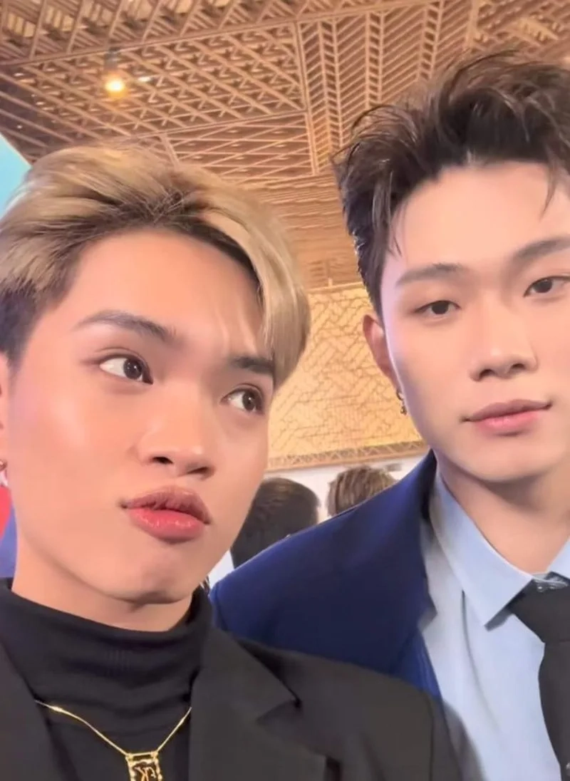 Dương domic x pháp kiều noveltoon tạo không gian sống động cho người hâm mộ