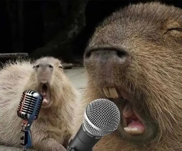 Capybara meme art thể hiện sự sáng tạo trong từng chi tiết