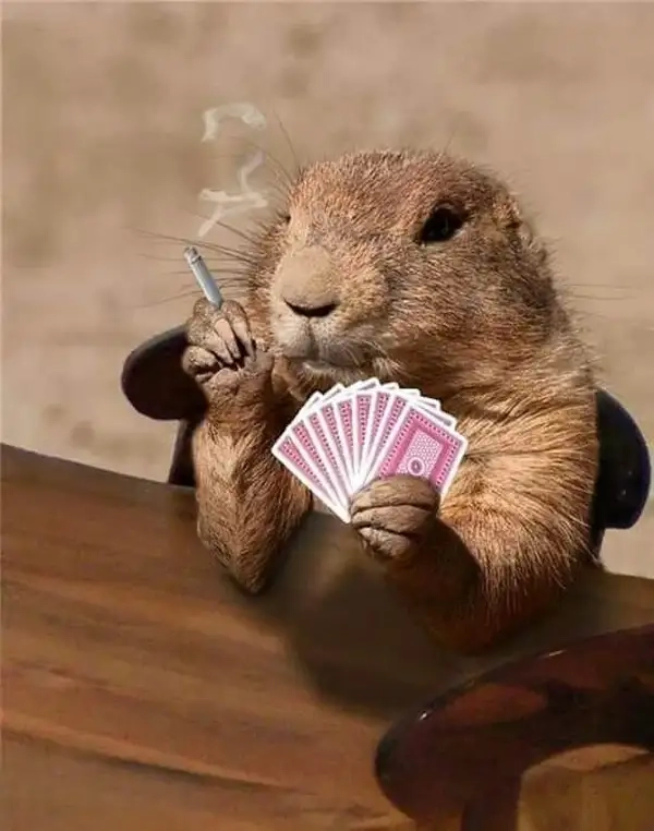 Capybara meme batman khiến mọi người không thể nhịn cười với sự hài hước