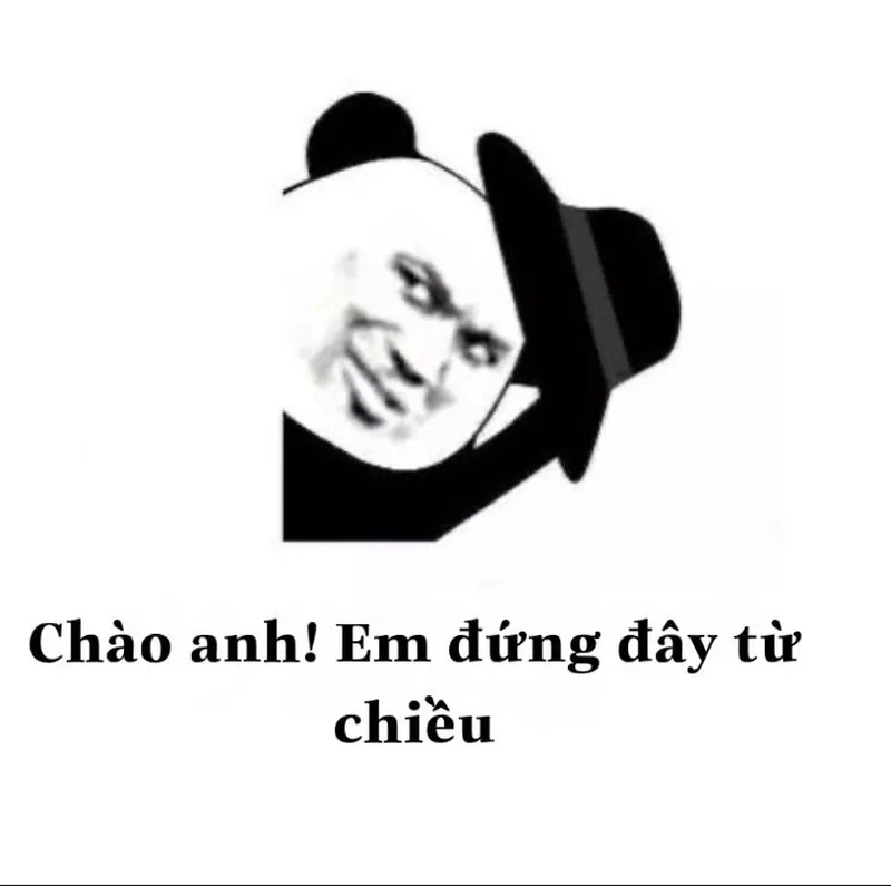 Meme gấu trúc cute mang lại sự dễ thương cho ngày của bạn
