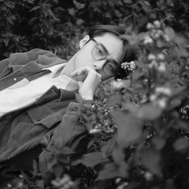 Hải đăng doo twitter giúp bạn theo dõi những hoạt động mới nhất