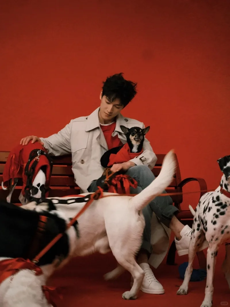 Lý quân nhuệ đóng phim gì gần đây? Cùng khám phá nhé