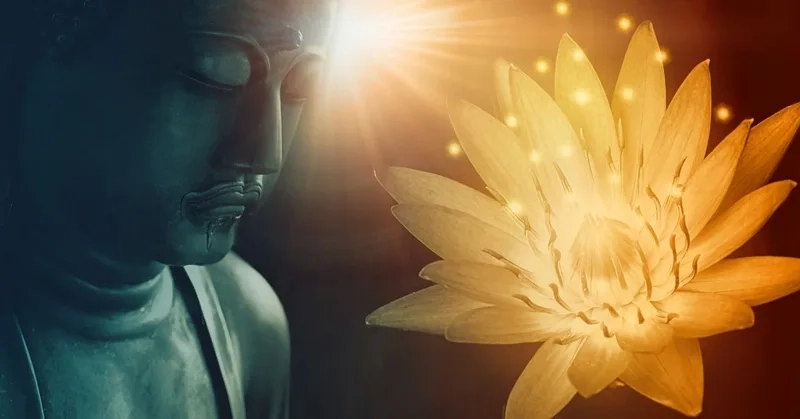 Ảnh phật và hoa sen thể hiện sự thanh khiết và cao quý