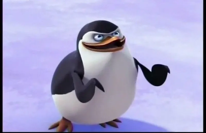 Con chim meme khiến mọi người không thể nhịn cười