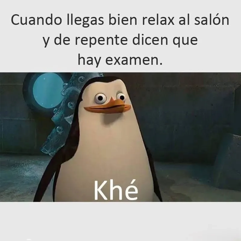 Ảnh chim meme khiến bạn không thể không cảm thấy thích thú