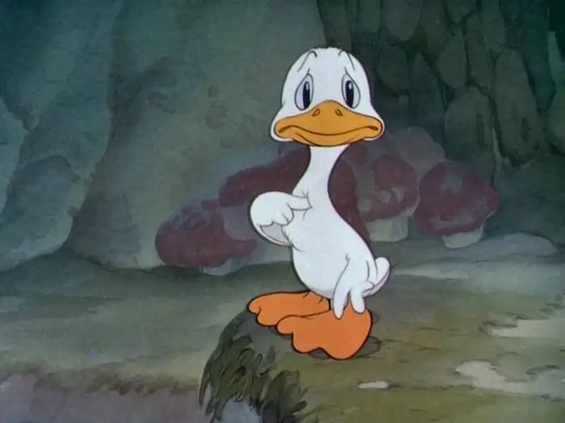 Meme hình con vịt hài hước mang lại tiếng cười cho những ai yêu thích hài hước