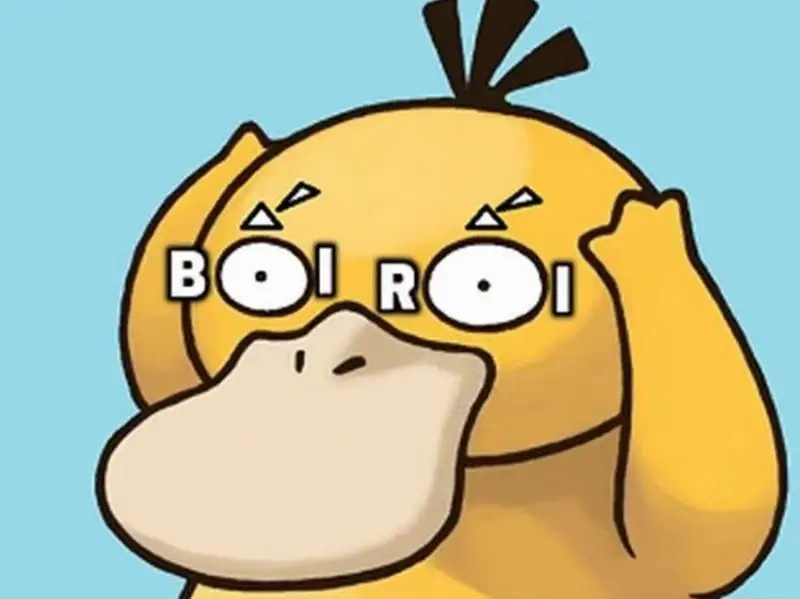 Ảnh vịt meme khiến bạn không thể không yêu thích sự dễ thương