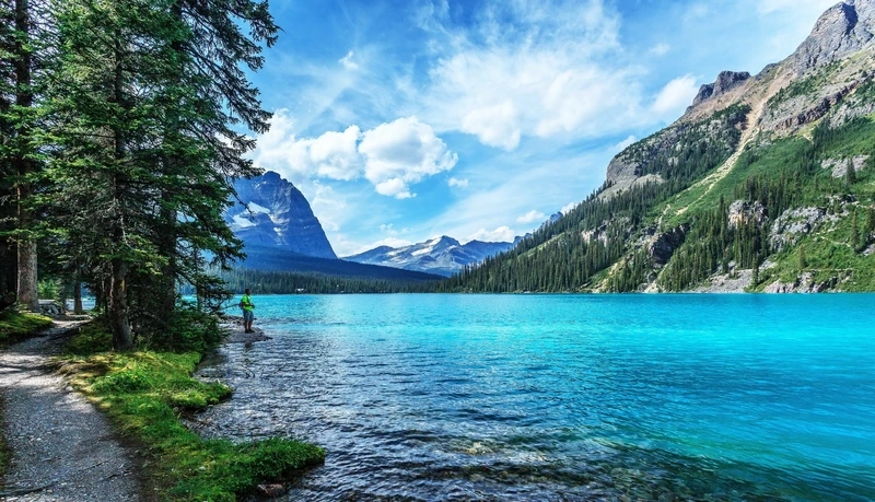 Hình nền máy tính thiên nhiên 4k sẽ mang lại sự tươi mới cho bạn