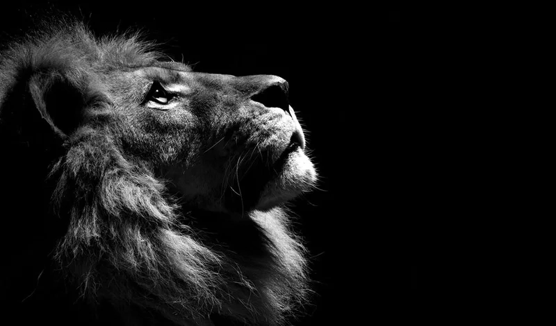 Đầy phong cách và cá tính với hình nền máy tính đen ngầu