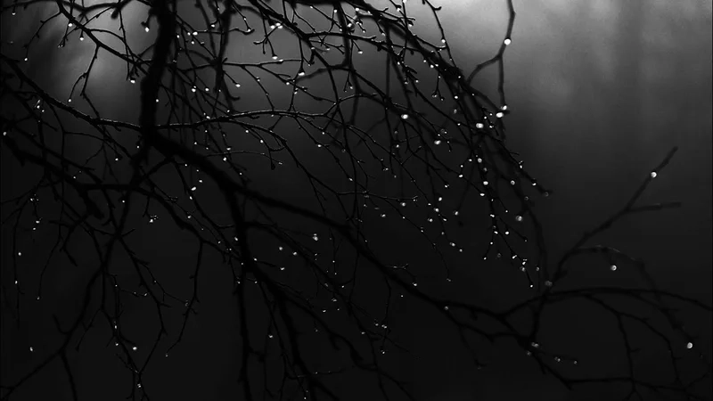 Đơn giản mà cuốn hút với hình nền đen trắng đẹp