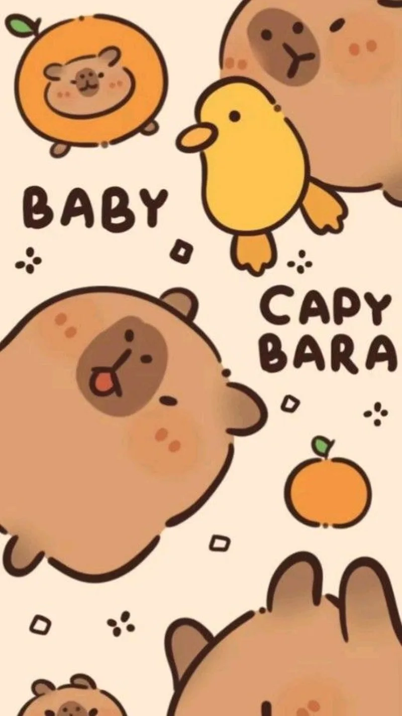Avatar hình nền capybara cute độc đáo, siêu dễ thương
