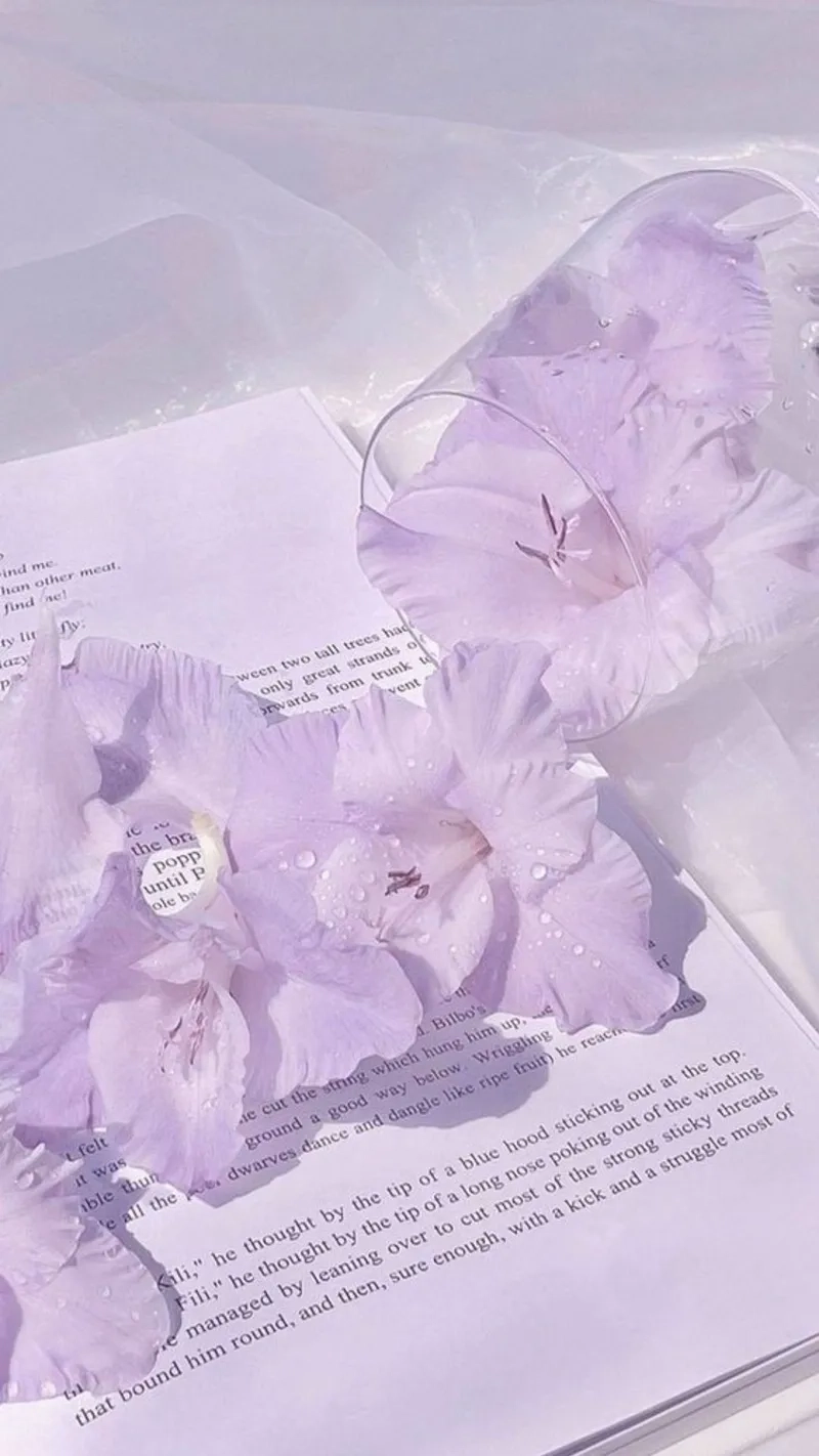 Hoa màu tím mang lại vẻ đẹp dịu dàng và lãng mạn