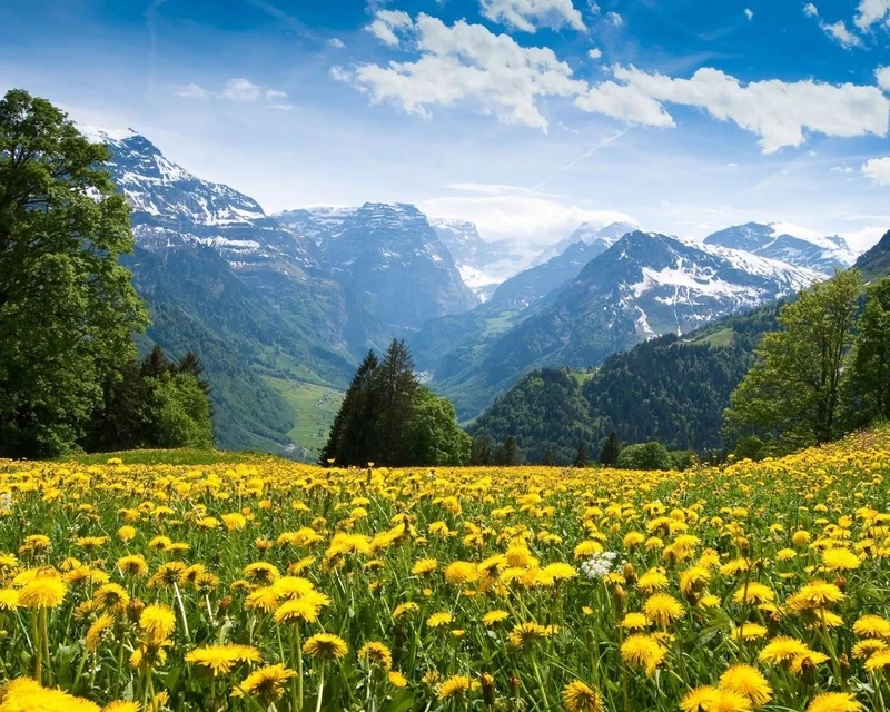 Hình nền đẹp 3d thiên nhiên sẽ là lựa chọn thú vị cho những ai yêu thích cái đẹp