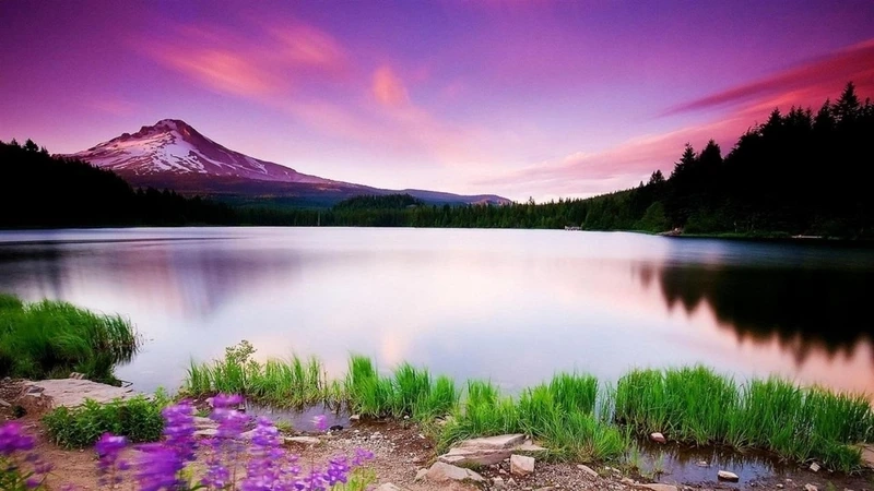 Hình nền 3d thiên nhiên cho điện thoại sẽ mang lại sự tươi mới cho bạn