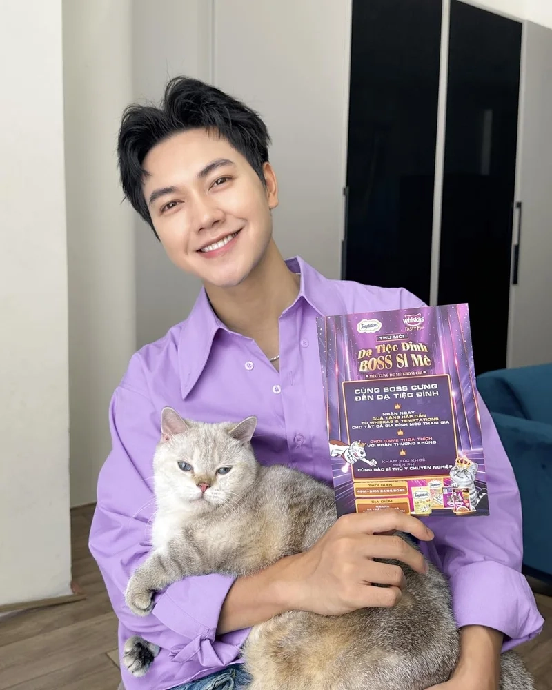 Mèo của jsol là một phần không thể thiếu trong cuộc sống của anh