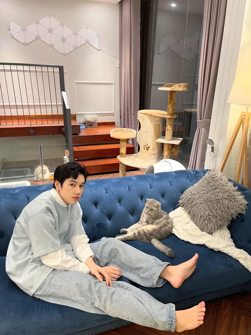 Jsoll mèo là một phần đáng yêu trong cuộc sống của anh