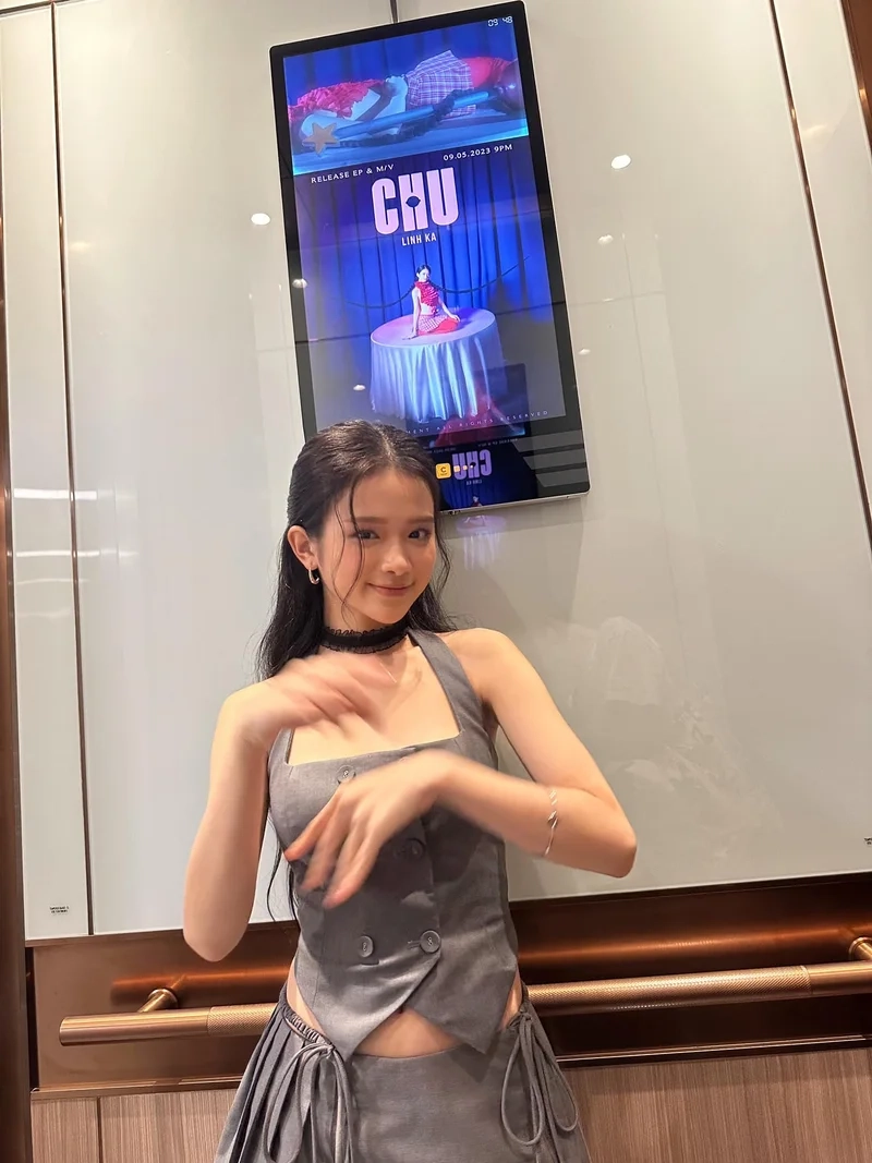 Linh ka hiện tại đang hoạt động tích cực trong lĩnh vực nghệ thuật