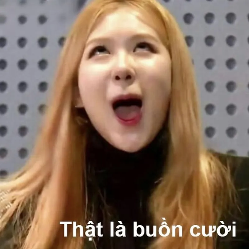 Cười meme ảnh dìm lisa mang lại tiếng cười cho những ai yêu thích hài hước