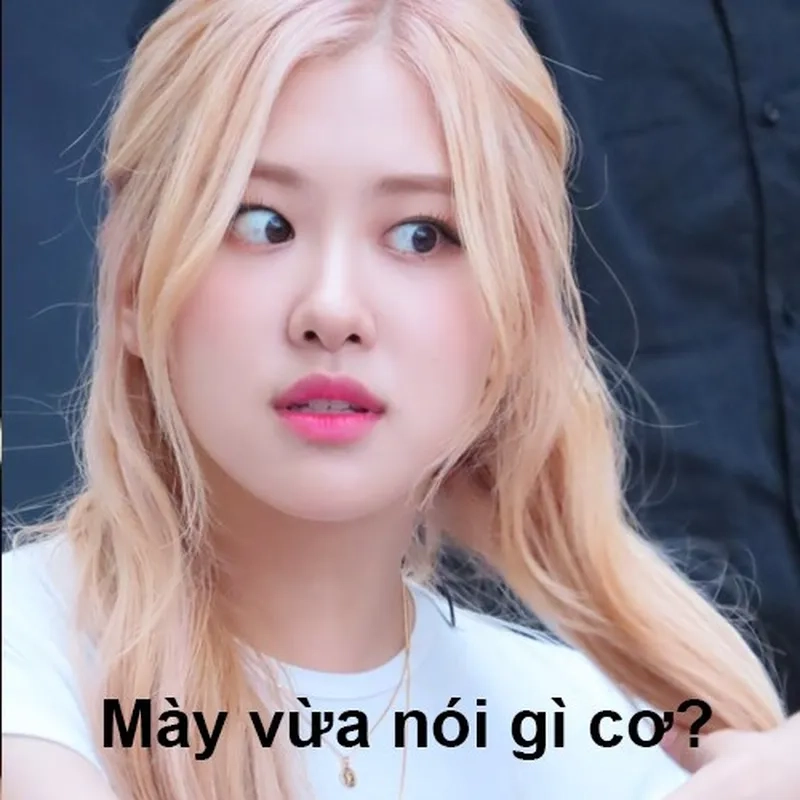 Blackpink meme pictures mang lại sự dễ thương cho người xem