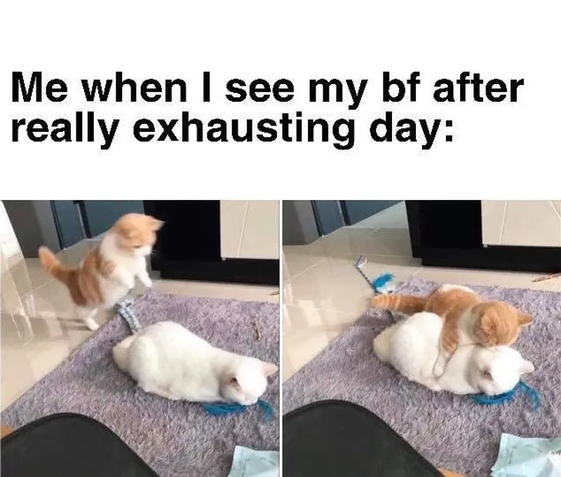 Ảnh meme anh da đen ôm đầu mang lại tiếng cười cho người xem