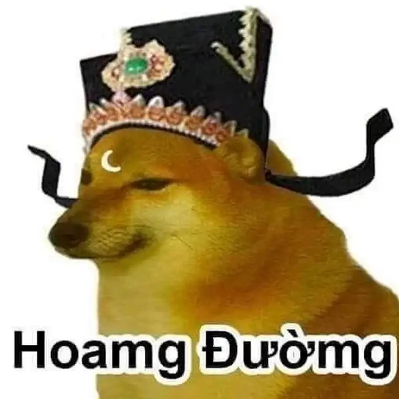 Meme chó shiba cơ bắp khiến bạn không thể nhịn cười với sự đáng yêu