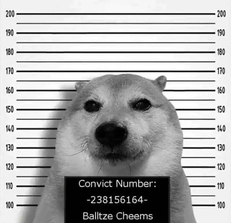 Chó shiba cười meme thể hiện sự vui vẻ và hạnh phúc