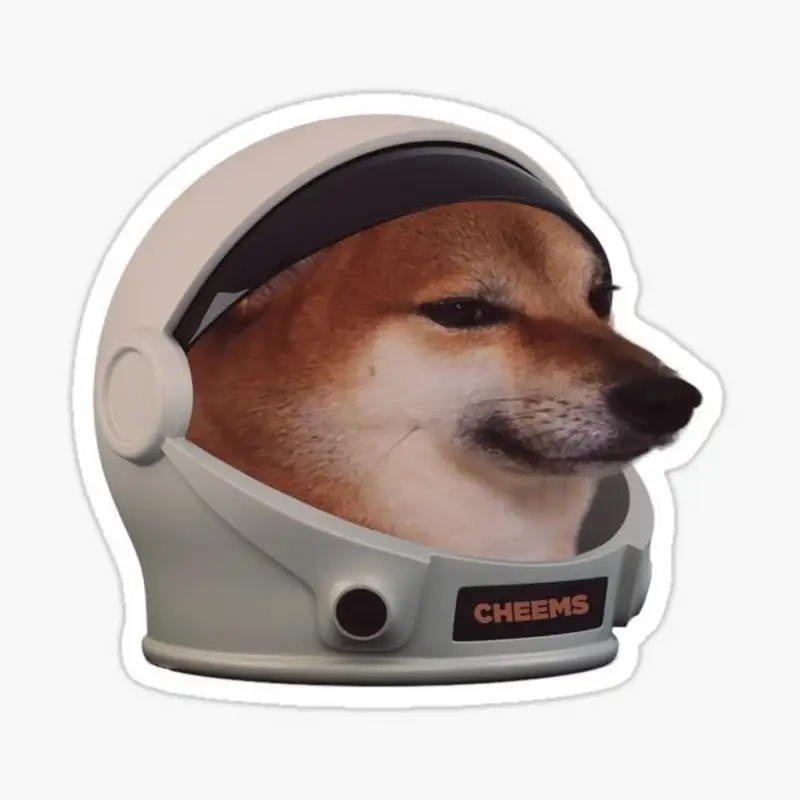 Ảnh meme shiba dễ thương giúp bạn xua tan căng thẳng