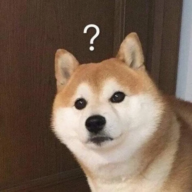 Hình ảnh chó shiba meme mang đến sự vui vẻ cho ngày mới