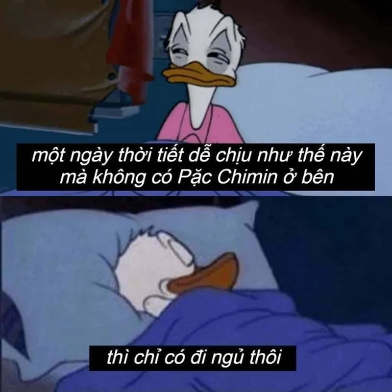 Meme buồn ngủ khiến bạn cảm thấy dễ chịu hơn sau một ngày dài