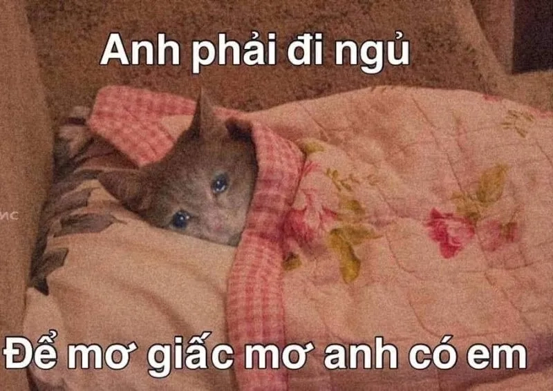 Meme mất ngủ khiến bạn cảm thấy đồng cảm với những ai khó ngủ