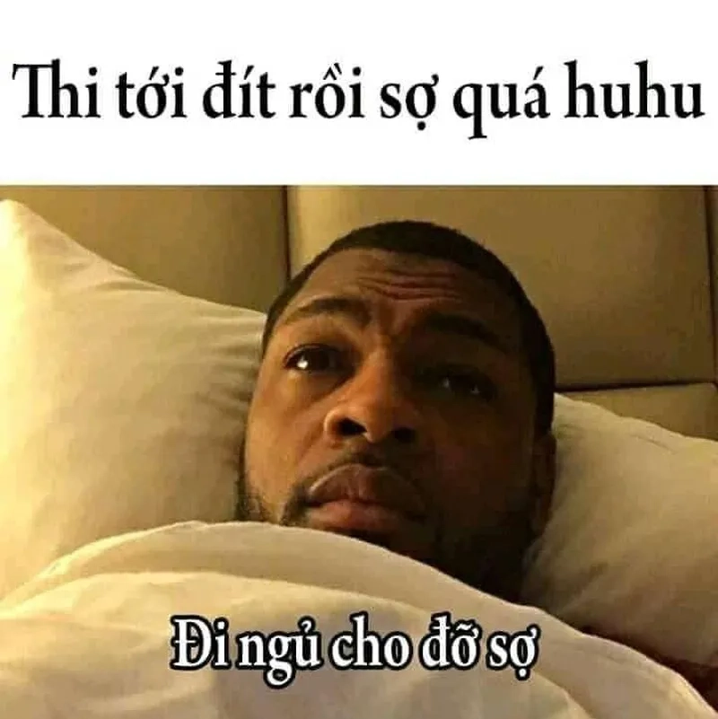 Meme mèo ngủ dễ thương khiến bạn muốn ôm ngay